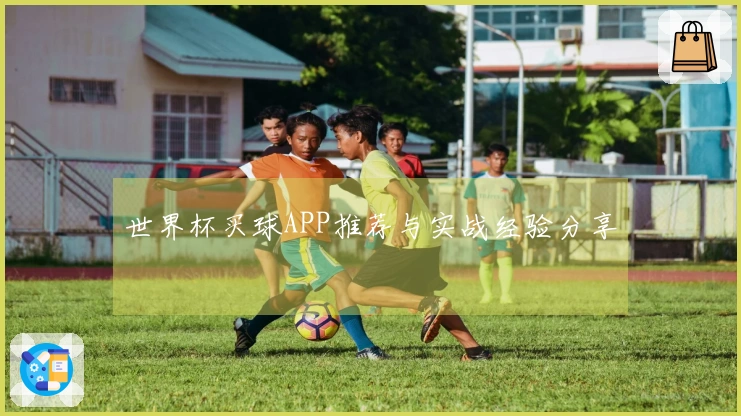 世界杯买球APP推荐与实战经验分享