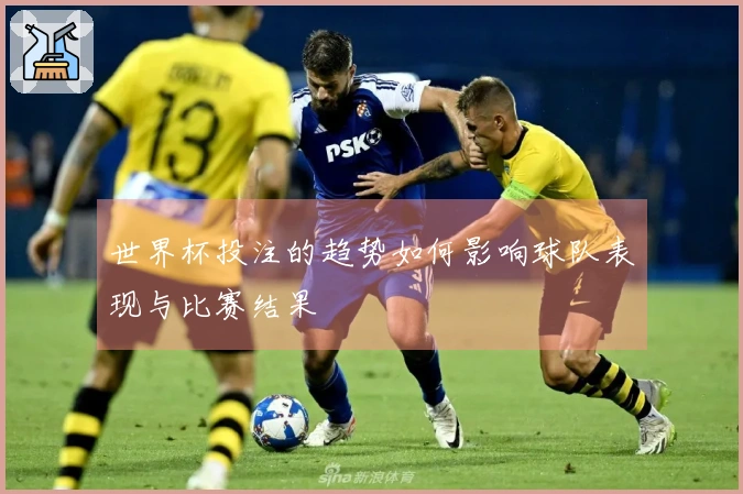 世界杯投注的趋势如何影响球队表现与比赛结果