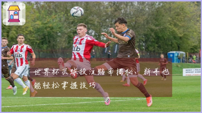 世界杯买球投注赔率揭秘，新手也能轻松掌握技巧