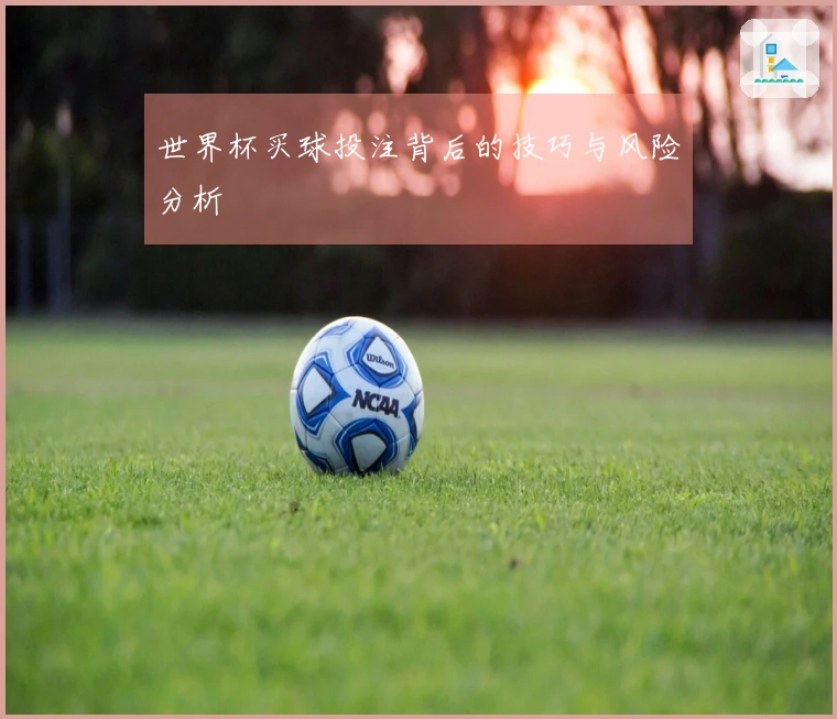 世界杯买球投注背后的技巧与风险分析