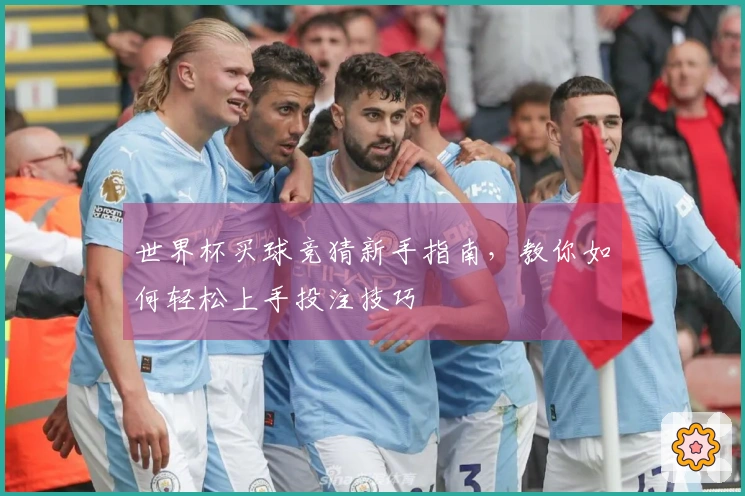 世界杯买球竞猜新手指南，教你如何轻松上手投注技巧