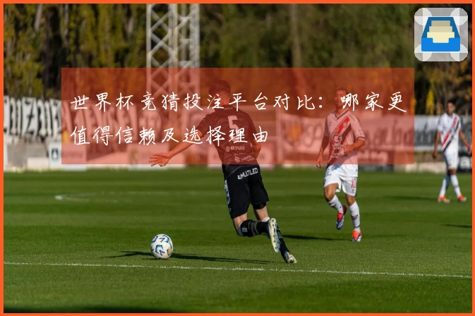 世界杯竞猜投注平台对比：哪家更值得信赖及选择理由