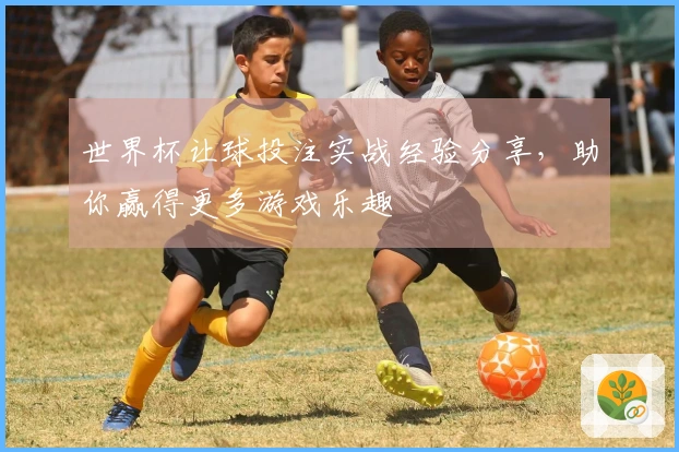 世界杯让球投注实战经验分享，助你赢得更多游戏乐趣