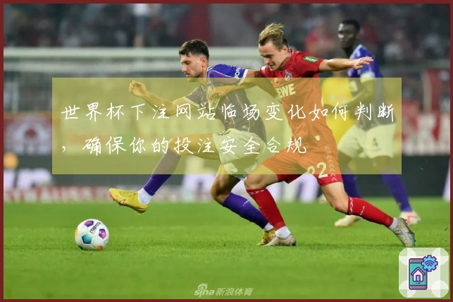 世界杯下注网站临场变化如何判断，确保你的投注安全合规