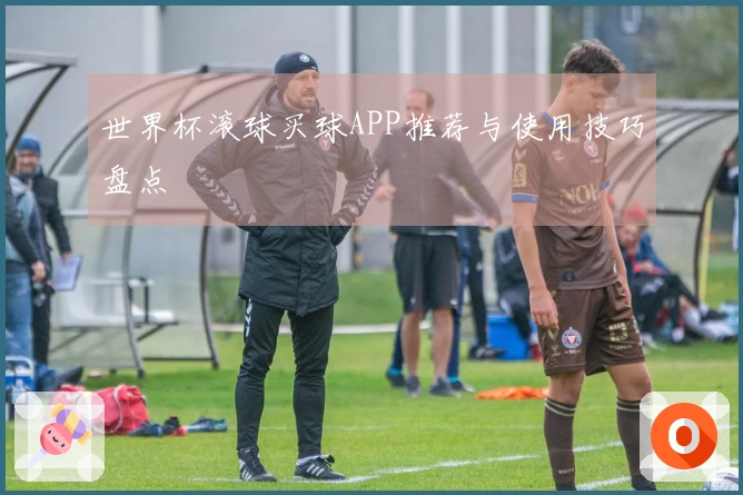 世界杯滚球买球APP推荐与使用技巧盘点