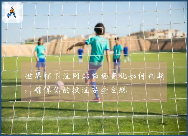 世界杯下注网站临场变化如何判断,确保你的投注安全合规