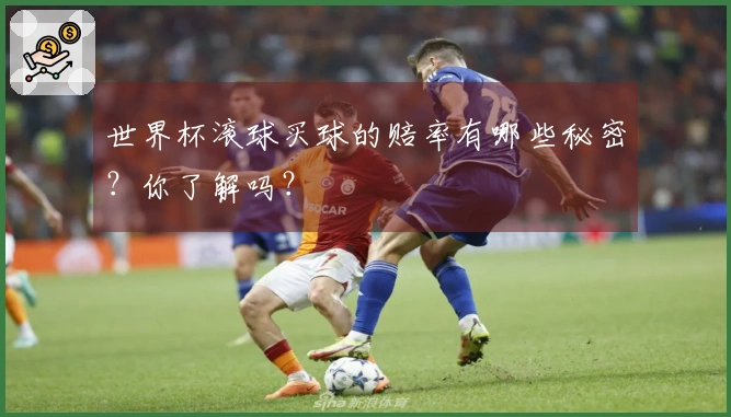 世界杯滚球买球的赔率有哪些秘密?你了解吗?