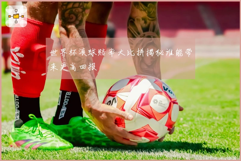 世界杯滚球赔率大比拼揭秘谁能带来更高回报