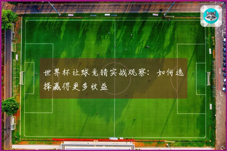 世界杯让球竞猜实战观察：如何选择赢得更多收益