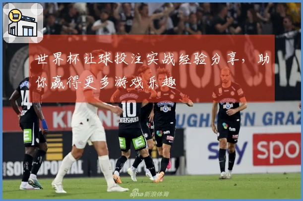 世界杯让球投注实战经验分享,助你赢得更多游戏乐趣